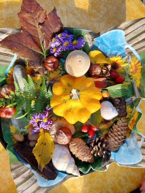 Das Bild zeigt eine bunte Herbstcollage
